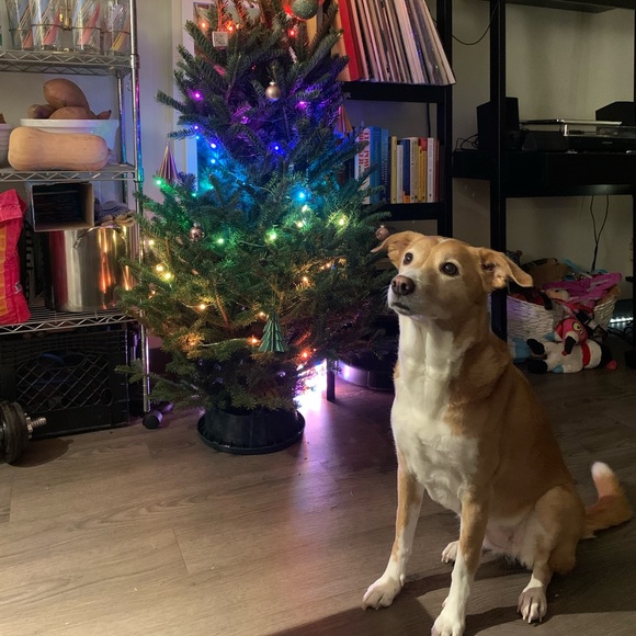 Meet your Posher, Amanda - Picture 5 of 6